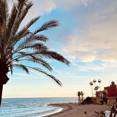 ,apartamento-estudio Primera Linea De Playa